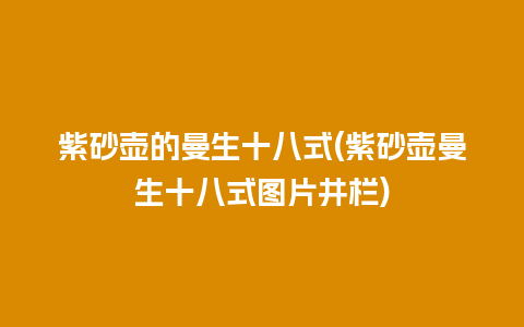 紫砂壶的曼生十八式(紫砂壶曼生十八式图片井栏)
