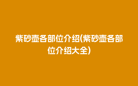 紫砂壶各部位介绍(紫砂壶各部位介绍大全)