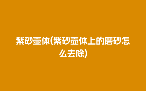 紫砂壶体(紫砂壶体上的磨砂怎么去除)