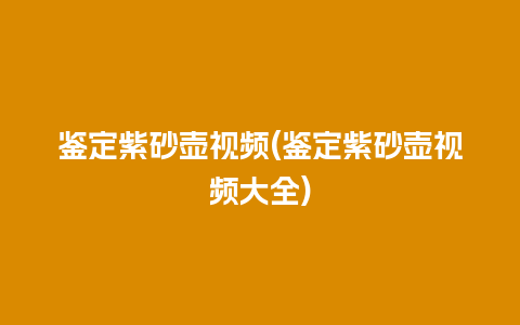 鉴定紫砂壶视频(鉴定紫砂壶视频大全)