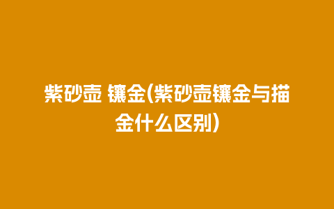 紫砂壶 镶金(紫砂壶镶金与描金什么区别)