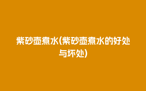 紫砂壶煮水(紫砂壶煮水的好处与坏处)
