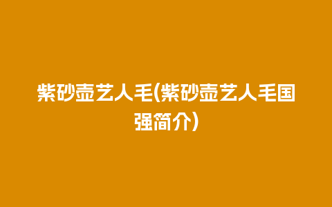 紫砂壶艺人毛(紫砂壶艺人毛国强简介)插图 紫砂壶艺人毛(紫砂壶艺人毛国强简介)
