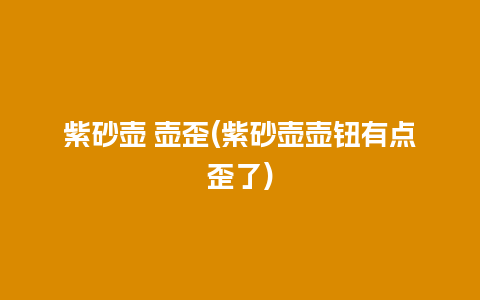 紫砂壶 壶歪(紫砂壶壶钮有点歪了)