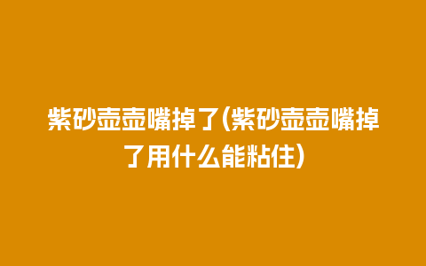 紫砂壶壶嘴掉了(紫砂壶壶嘴掉了用什么能粘住)插图 紫砂壶壶嘴掉了(紫砂壶壶嘴掉了用什么能粘住)