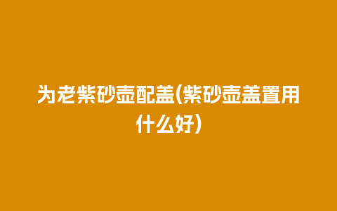 为老紫砂壶配盖(紫砂壶盖置用什么好)