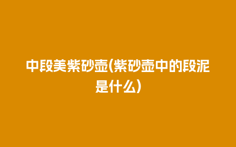 中段美紫砂壶(紫砂壶中的段泥是什么)插图 中段美紫砂壶(紫砂壶中的段泥是什么)