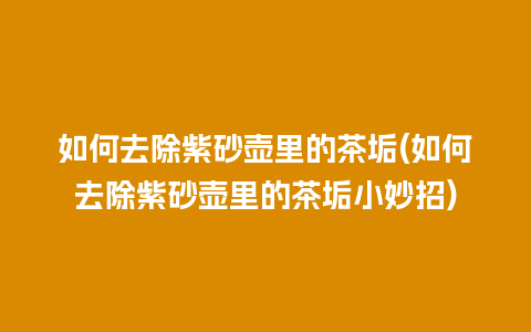 如何去除紫砂壶里的茶垢(如何去除紫砂壶里的茶垢小妙招)插图 如何去除紫砂壶里的茶垢(如何去除紫砂壶里的茶垢小妙招)