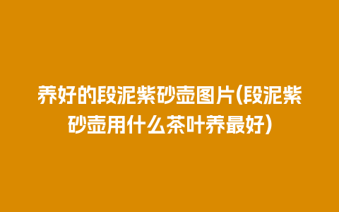 养好的段泥紫砂壶图片(段泥紫砂壶用什么茶叶养最好)