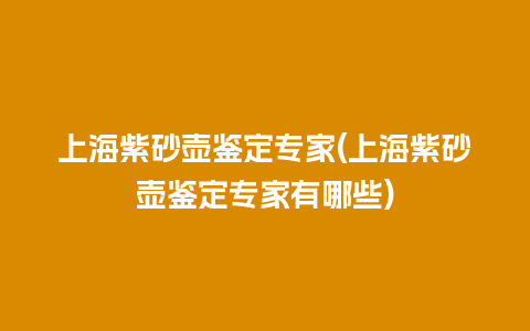 上海紫砂壶鉴定专家(上海紫砂壶鉴定专家有哪些)插图 上海紫砂壶鉴定专家(上海紫砂壶鉴定专家有哪些)