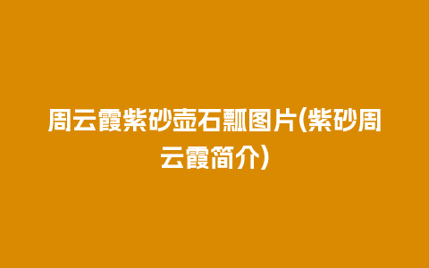 周云霞紫砂壶石瓢图片(紫砂周云霞简介)