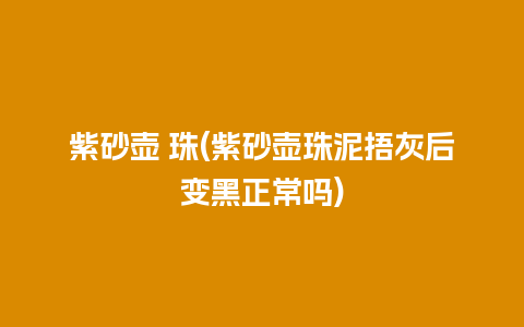 紫砂壶 珠(紫砂壶珠泥捂灰后变黑正常吗)