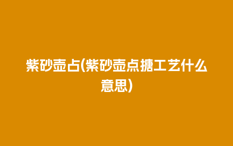 紫砂壶占(紫砂壶点搪工艺什么意思)