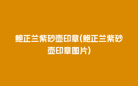 鲍正兰紫砂壶印章(鲍正兰紫砂壶印章图片)
