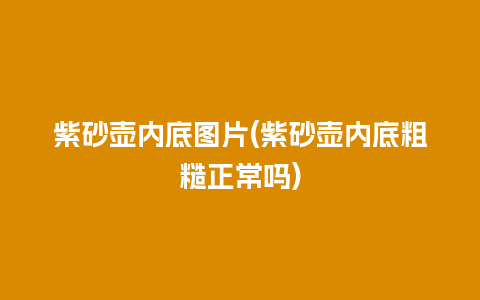 紫砂壶内底图片(紫砂壶内底粗糙正常吗)