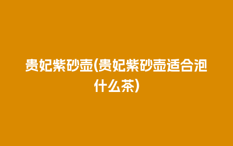 贵妃紫砂壶(贵妃紫砂壶适合泡什么茶)插图 贵妃紫砂壶(贵妃紫砂壶适合泡什么茶)