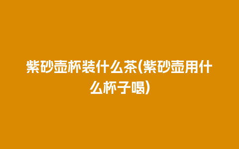 紫砂壶杯装什么茶(紫砂壶用什么杯子喝)