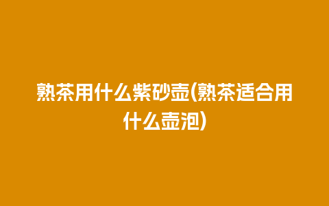 熟茶用什么紫砂壶(熟茶适合用什么壶泡)插图 熟茶用什么紫砂壶(熟茶适合用什么壶泡)
