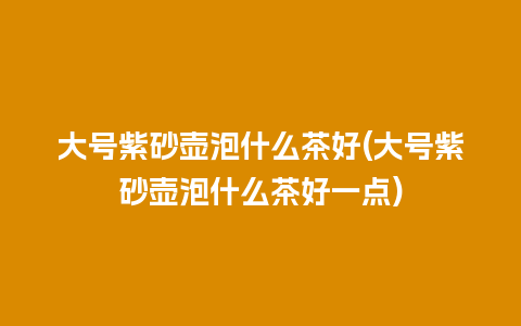 大号紫砂壶泡什么茶好(大号紫砂壶泡什么茶好一点)