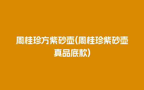 周桂珍方紫砂壶(周桂珍紫砂壶真品底款)插图 周桂珍方紫砂壶(周桂珍紫砂壶真品底款)