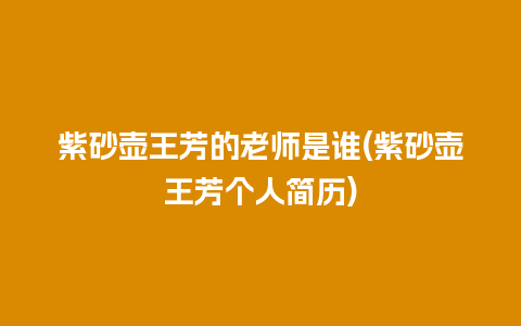 紫砂壶王芳的老师是谁(紫砂壶王芳个人简历)