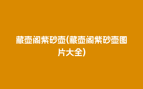 藏壶阁紫砂壶(藏壶阁紫砂壶图片大全)插图 藏壶阁紫砂壶(藏壶阁紫砂壶图片大全)