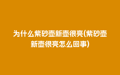 为什么紫砂壶新壶很亮(紫砂壶新壶很亮怎么回事)插图 为什么紫砂壶新壶很亮(紫砂壶新壶很亮怎么回事)