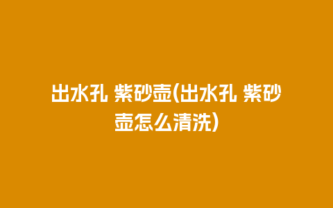 出水孔 紫砂壶(出水孔 紫砂壶怎么清洗)插图 出水孔 紫砂壶(出水孔 紫砂壶怎么清洗)