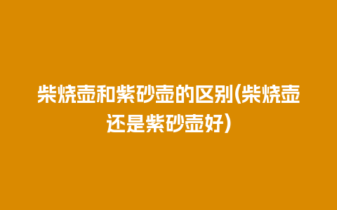 柴烧壶和紫砂壶的区别(柴烧壶还是紫砂壶好)插图 柴烧壶和紫砂壶的区别(柴烧壶还是紫砂壶好)