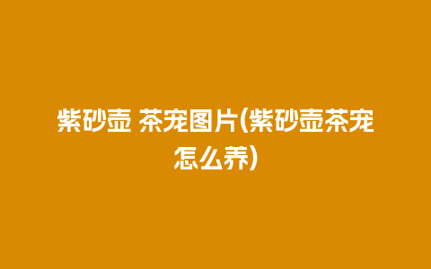 紫砂壶 茶宠图片(紫砂壶茶宠怎么养)
