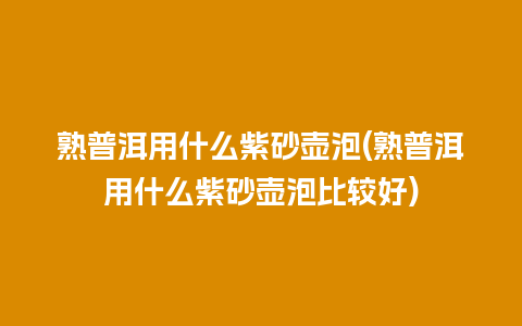 熟普洱用什么紫砂壶泡(熟普洱用什么紫砂壶泡比较好)