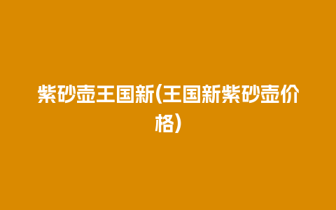 紫砂壶王国新(王国新紫砂壶价格)