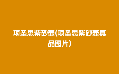项圣思紫砂壶(项圣思紫砂壶真品图片)