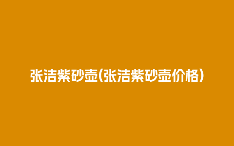 张洁紫砂壶(张洁紫砂壶价格)