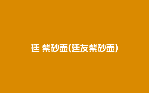 廷 紫砂壶(廷友紫砂壶)