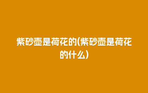 紫砂壶是荷花的(紫砂壶是荷花的什么)