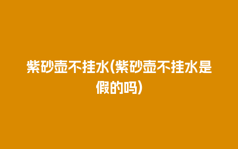 紫砂壶不挂水(紫砂壶不挂水是假的吗)