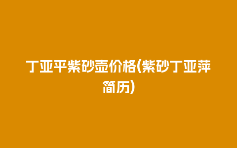 丁亚平紫砂壶价格(紫砂丁亚萍简历)