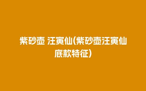 紫砂壶 汪寅仙(紫砂壶汪寅仙底款特征)