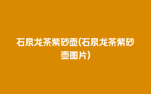 石泉龙茶紫砂壶(石泉龙茶紫砂壶图片)