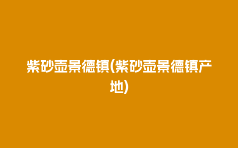 紫砂壶景德镇(紫砂壶景德镇产地)