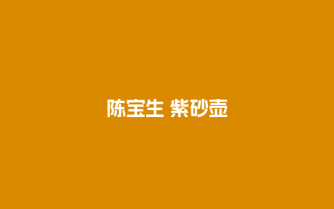 陈宝生 紫砂壶