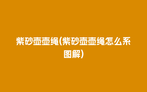 紫砂壶壶绳(紫砂壶壶绳怎么系图解)