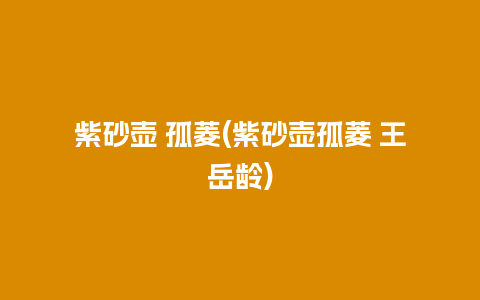 紫砂壶 孤菱(紫砂壶孤菱 王岳龄)