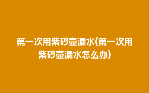 第一次用紫砂壶漏水(第一次用紫砂壶漏水怎么办)