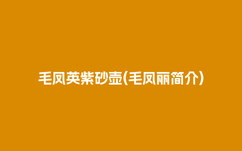 毛凤英紫砂壶(毛凤丽简介)