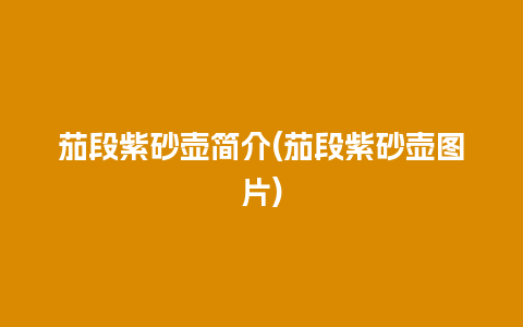 茄段紫砂壶简介(茄段紫砂壶图片)