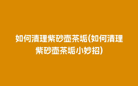 如何清理紫砂壶茶垢(如何清理紫砂壶茶垢小妙招)