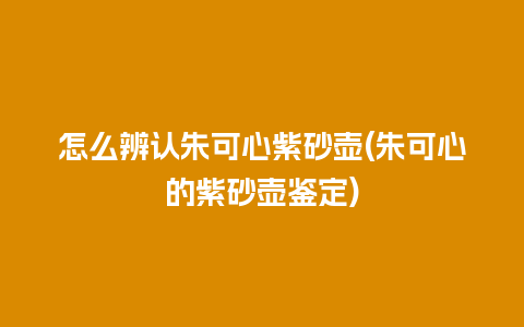 怎么辨认朱可心紫砂壶(朱可心的紫砂壶鉴定)