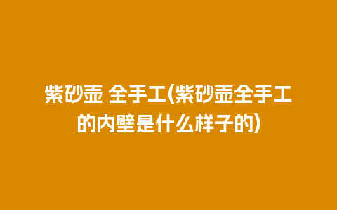 紫砂壶 全手工(紫砂壶全手工的内壁是什么样子的)